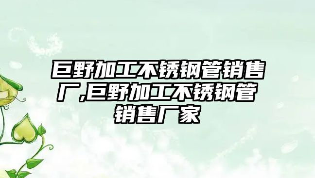 巨野加工不銹鋼管銷售廠,巨野加工不銹鋼管銷售廠家