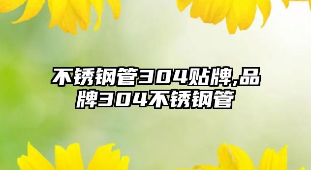 不銹鋼管304貼牌,品牌304不銹鋼管