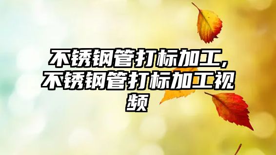 不銹鋼管打標(biāo)加工,不銹鋼管打標(biāo)加工視頻